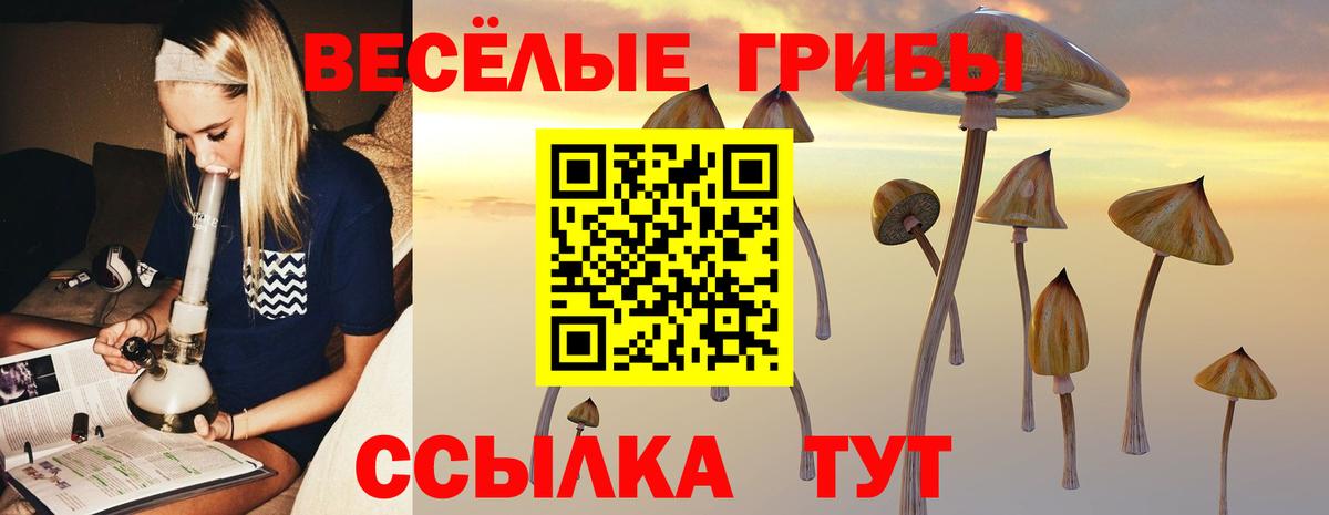 Псилоцибиновые грибы мицелий  Вход с VPN  Псилоцибиновые грибы Magic Shrooms  Тихорецк 